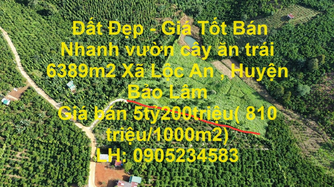 Đất Đẹp - Giá Tốt Bán Nhanh vườn cây ăn trái 6389m2 Xã Lộc An , Huyện Bảo Lâm - Ảnh chính